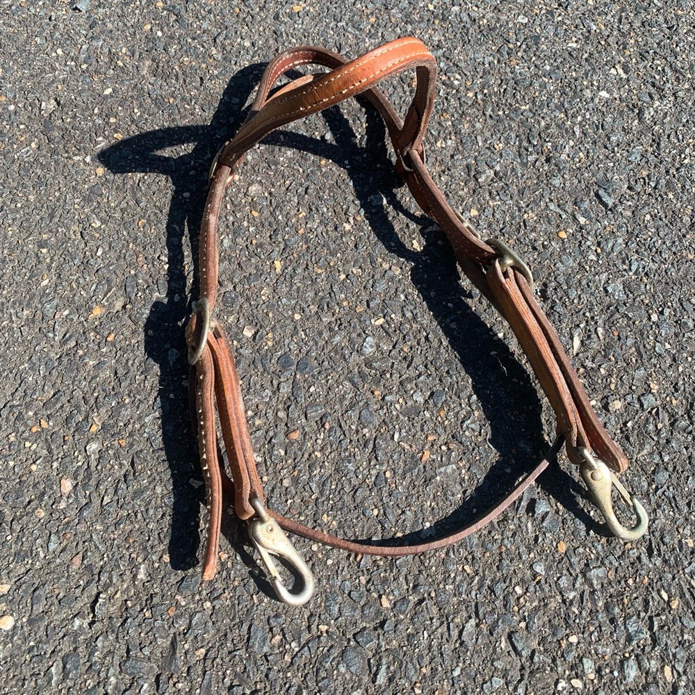 Western bridle
